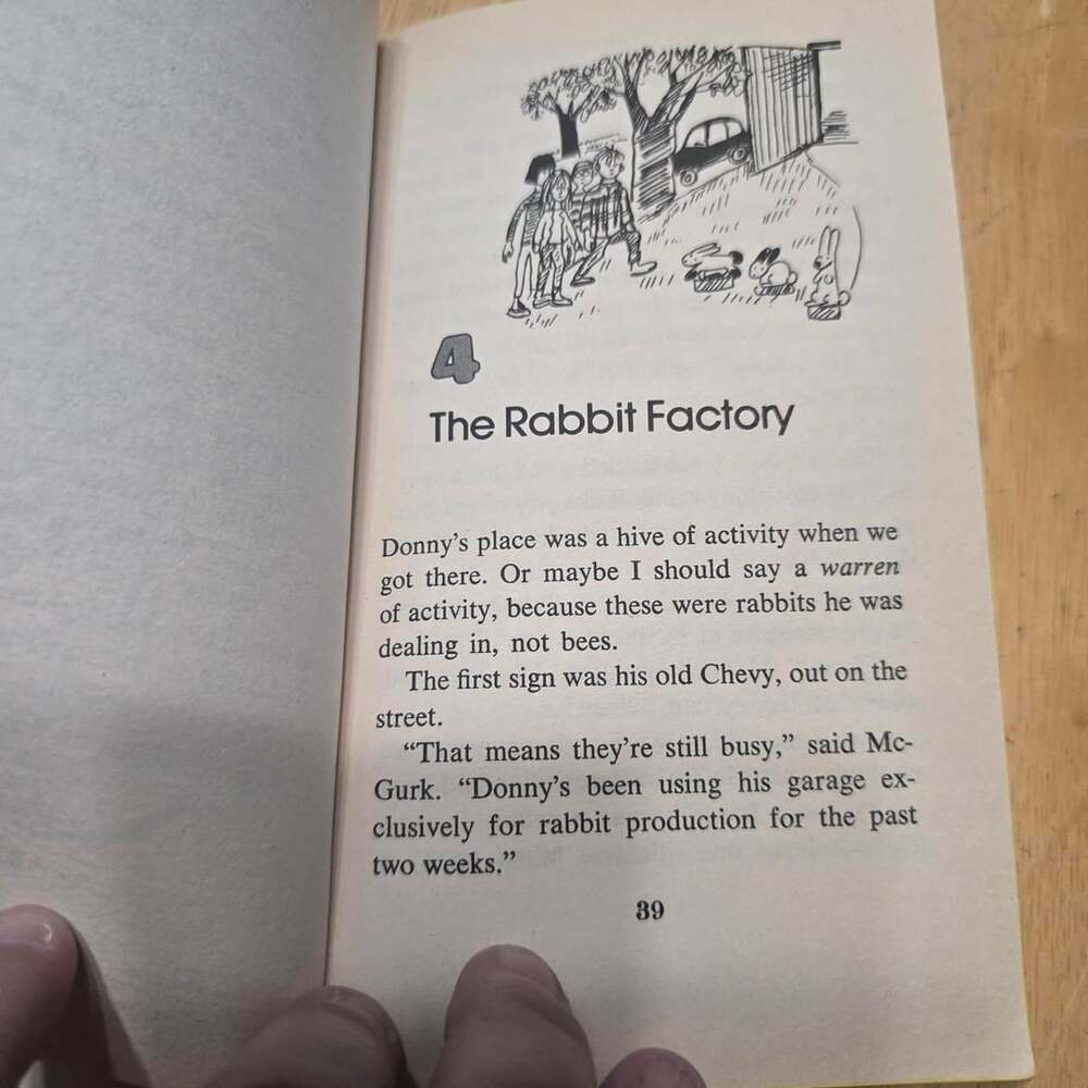 The Great Rabbit Rip-Off by E.W. Hildick Paperback Book - Picture 4 of 7